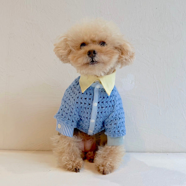 クレイジーパターンシャツ