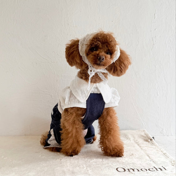 襟付きフレンチパフスリーブトップス（レースカットソー）