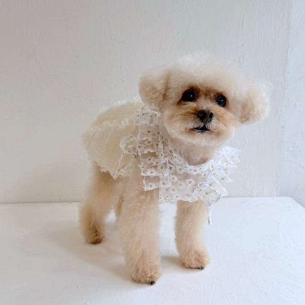 フリルスクエアベスト (フラワー刺繍チュール)