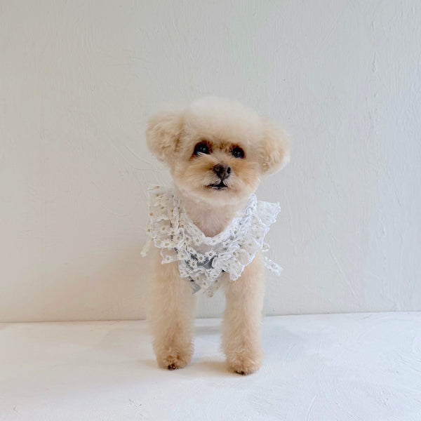 フリルスクエアベスト (フラワー刺繍チュール)