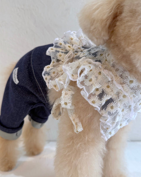 フリルスクエアベスト (フラワー刺繍チュール)