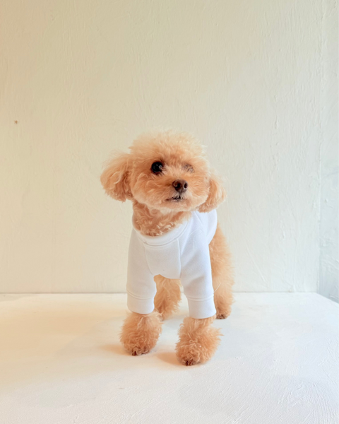 Doglez-vous set A