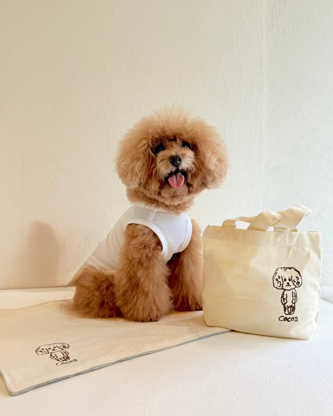 Doglez-vous set B