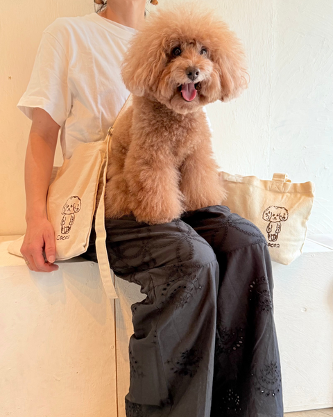Doglez-vous set C