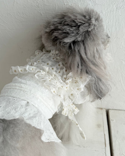 フリルスクエアベスト (フラワー刺繍チュール)