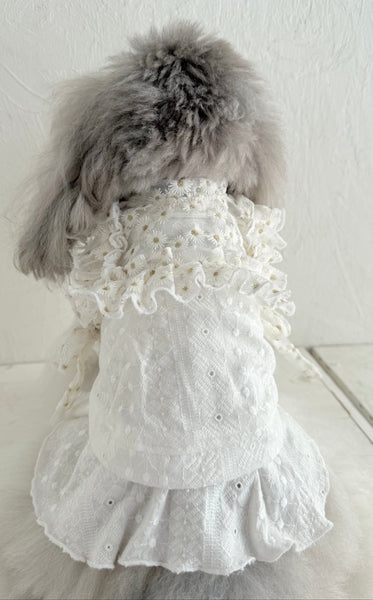 フリルスクエアベスト (フラワー刺繍チュール)