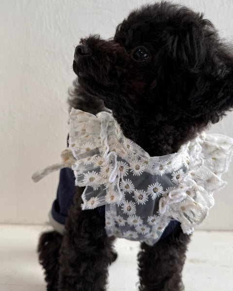 フリルスクエアベスト (フラワー刺繍チュール)