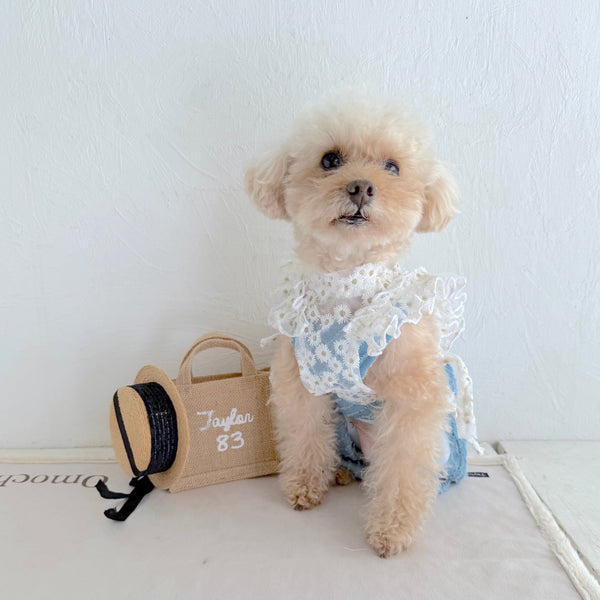 フリルスクエアベスト (フラワー刺繍チュール)