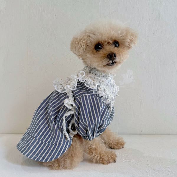 フリルスクエアベスト (フラワー刺繍チュール)