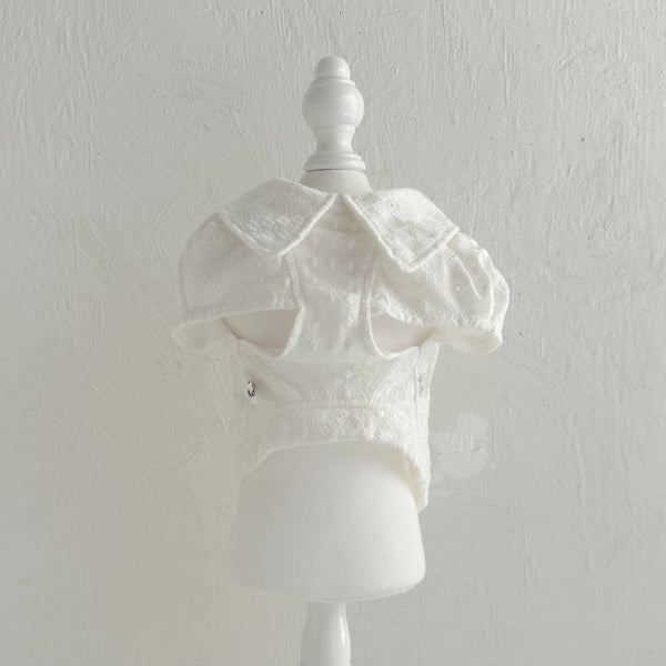 襟付きフレンチパフスリーブトップス（レースカットソー）