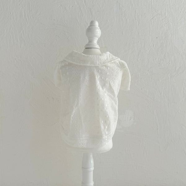 襟付きフレンチパフスリーブトップス（レースカットソー）