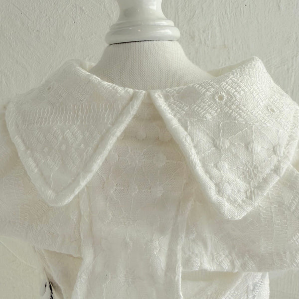 襟付きフレンチパフスリーブトップス（レースカットソー）