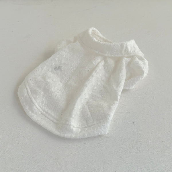 襟付きフレンチパフスリーブトップス（レースカットソー）