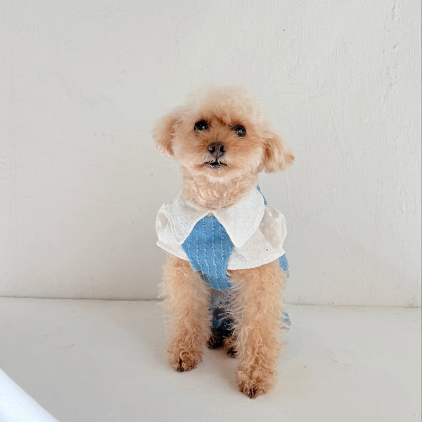 バレルサロペット (クラッシュフェザーデニム)