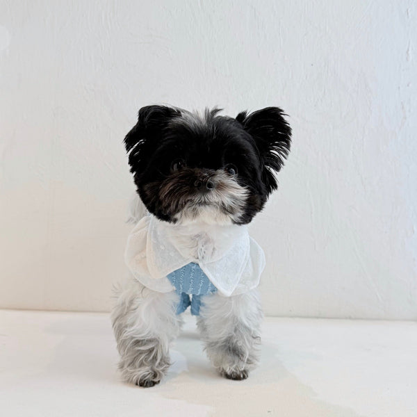 バレルサロペット (クラッシュフェザーデニム)