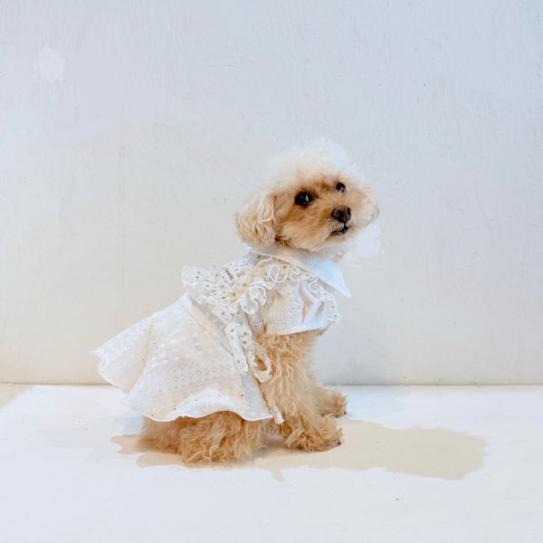 フリルスクエアベスト (フラワー刺繍チュール)