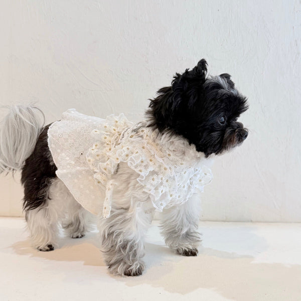 フリルスクエアベスト (フラワー刺繍チュール)