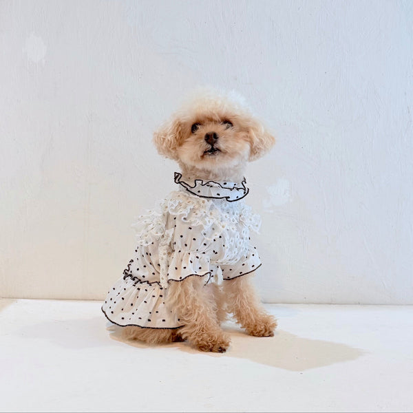 フリルスクエアベスト (フラワー刺繍チュール)