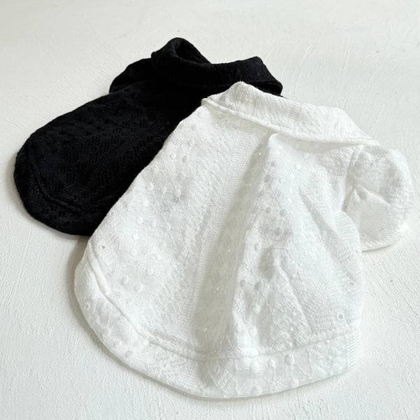 襟付きフレンチパフスリーブトップス（レースカットソー）