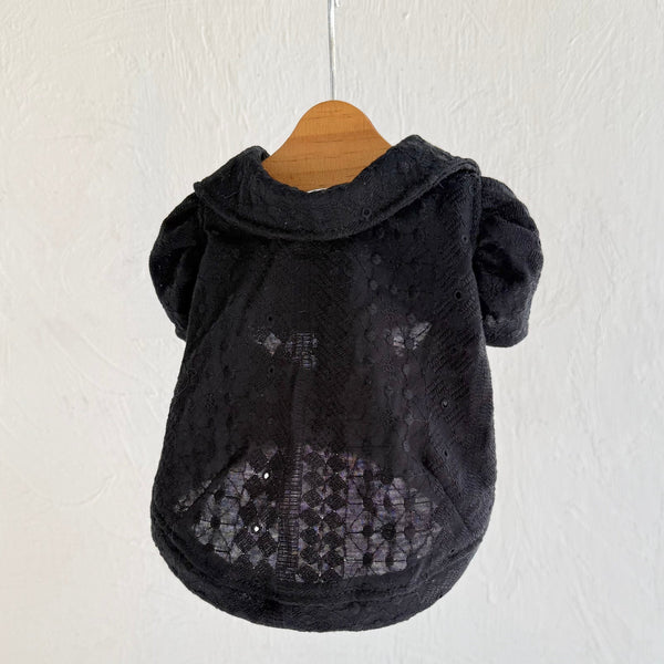 襟付きフレンチパフスリーブトップス（レースカットソー）