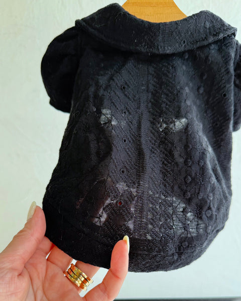 襟付きフレンチパフスリーブトップス（レースカットソー）