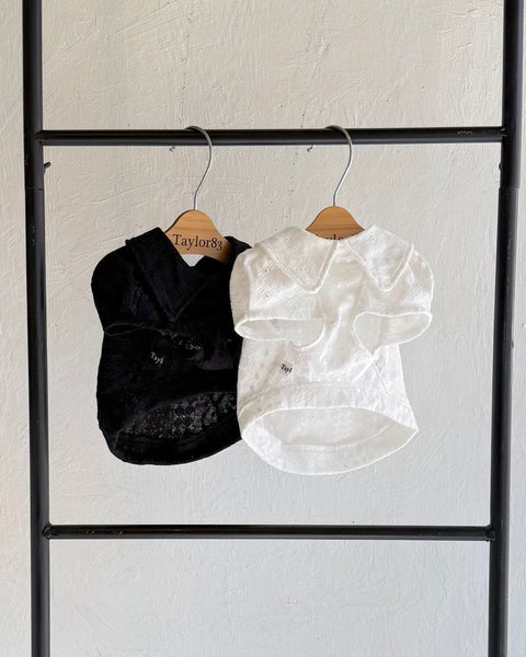 襟付きフレンチパフスリーブトップス（レースカットソー）