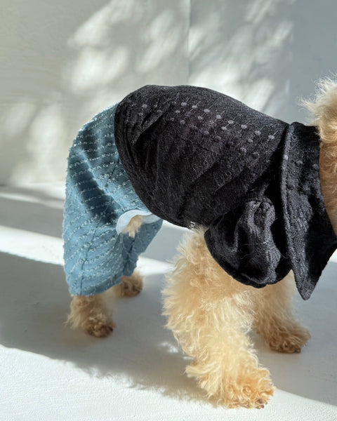 襟付きフレンチパフスリーブトップス（レースカットソー）