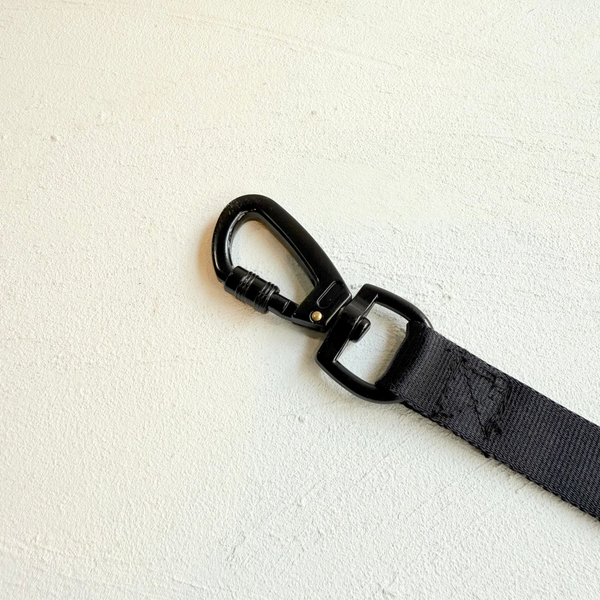 【限定】83Lead