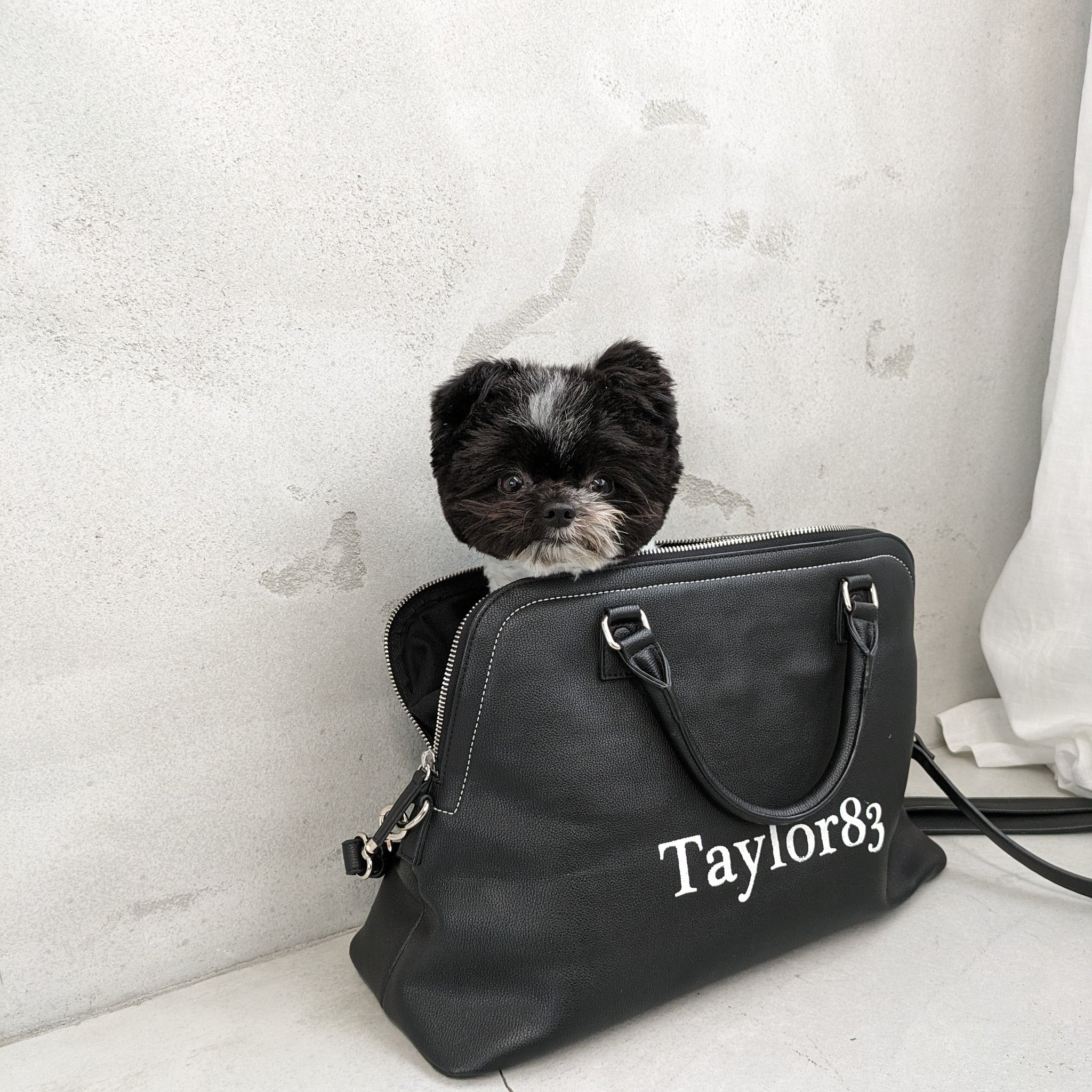 ボストンキャリーバッグ – Taylor83