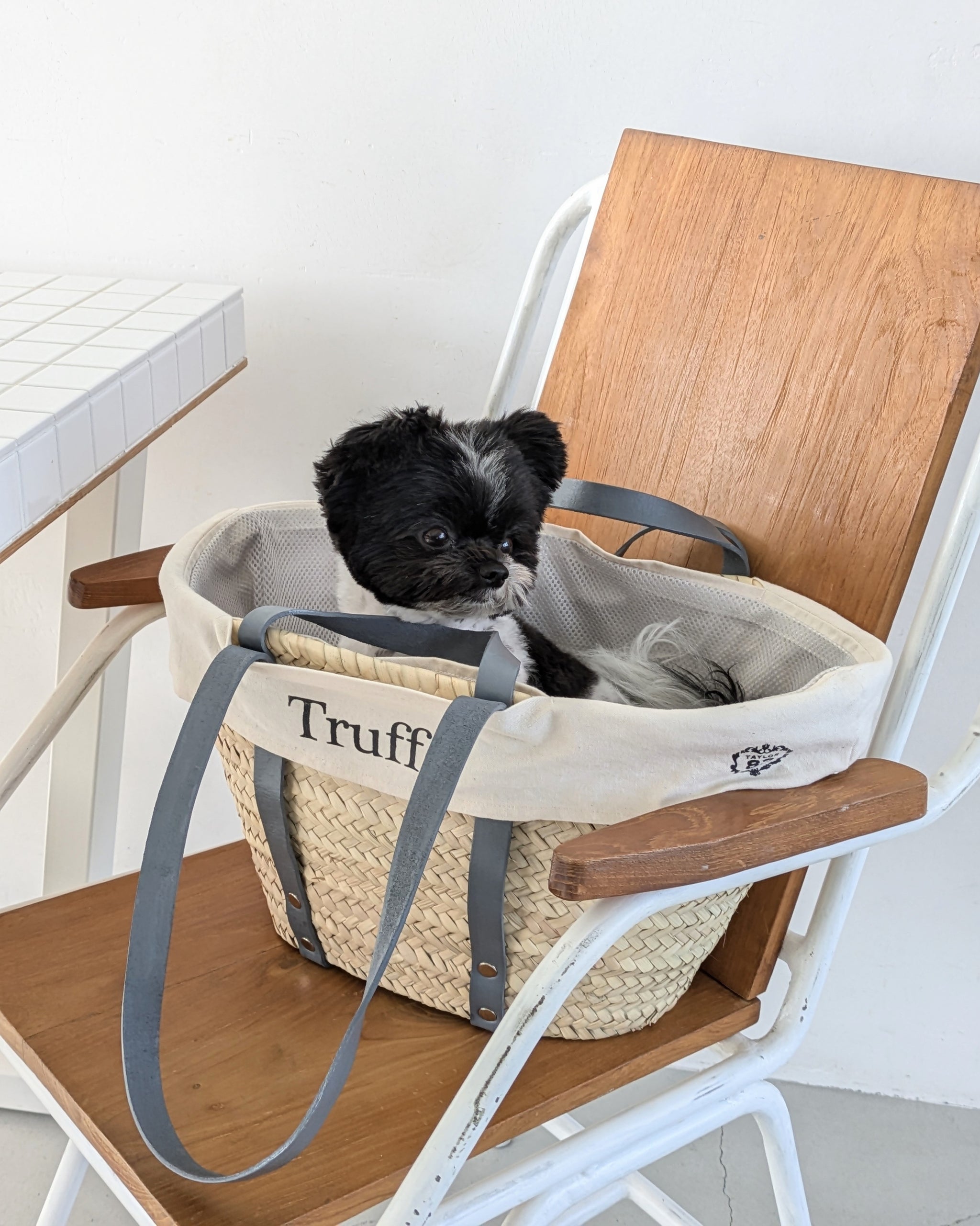 グレーレザーハンドルかごキャリーバッグ – Taylor83