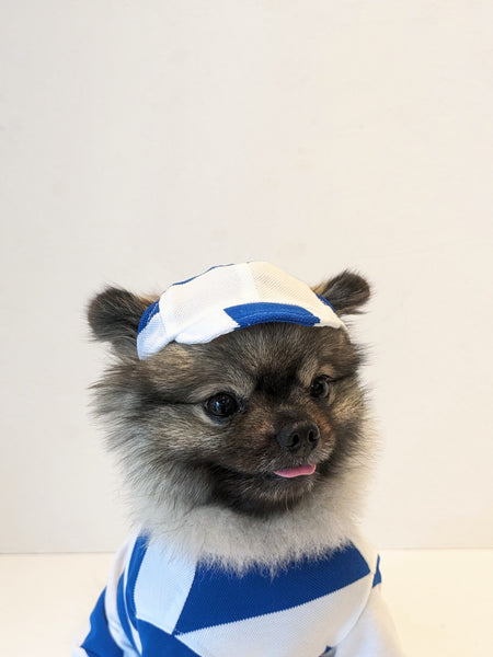 Mizugi帽