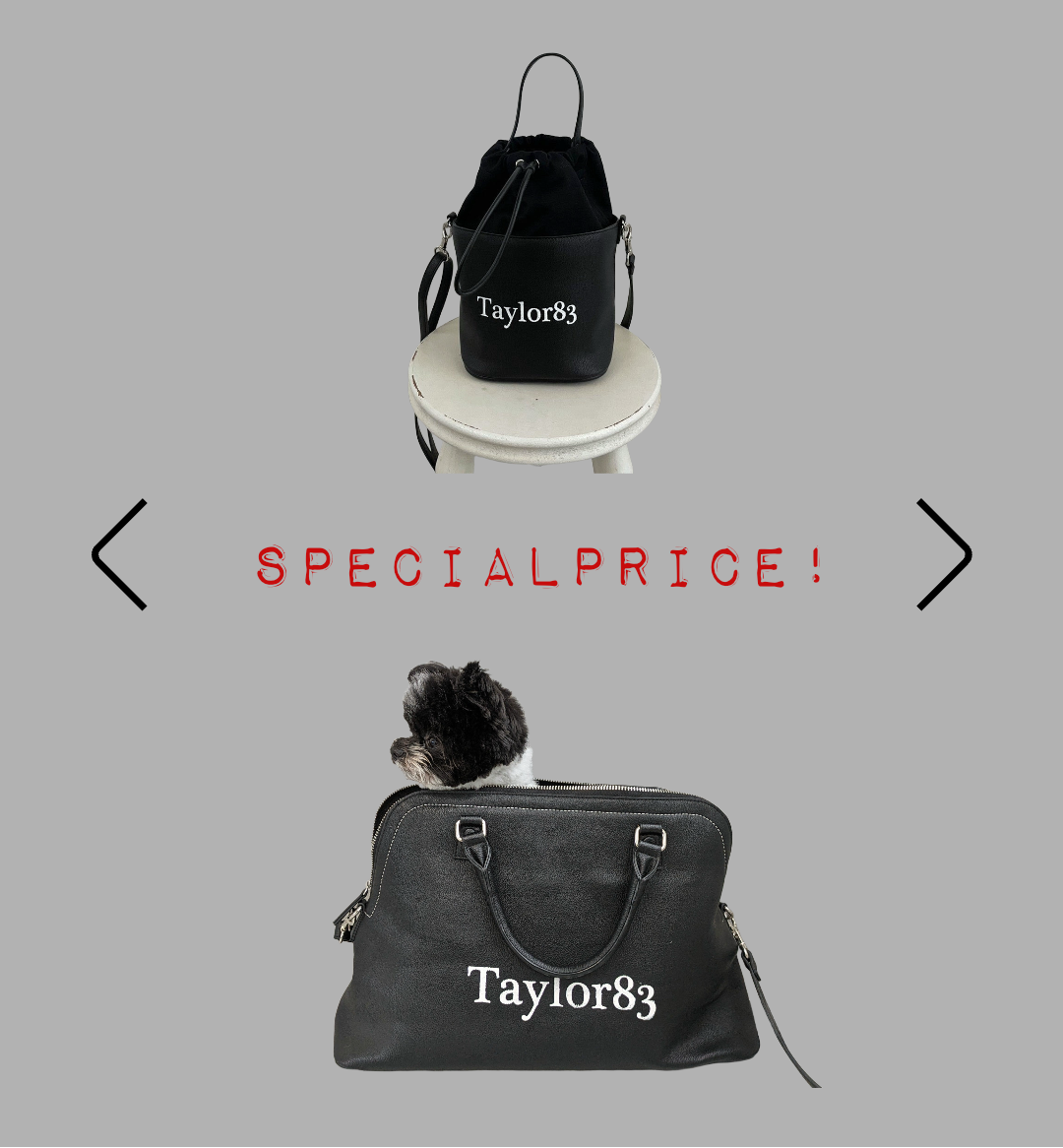CARRYBAG – Taylor83