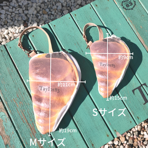 ポケパン