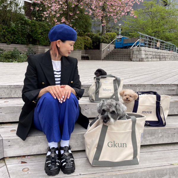 トートキャリーバッグ（キャンバス地)