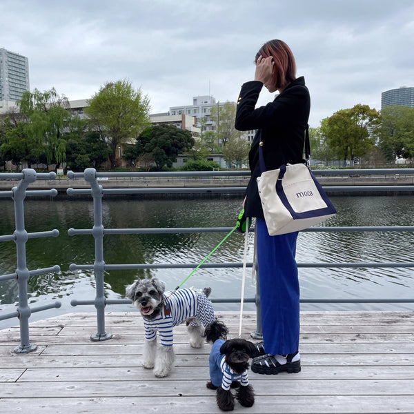 トートキャリーバッグ（キャンバス地)