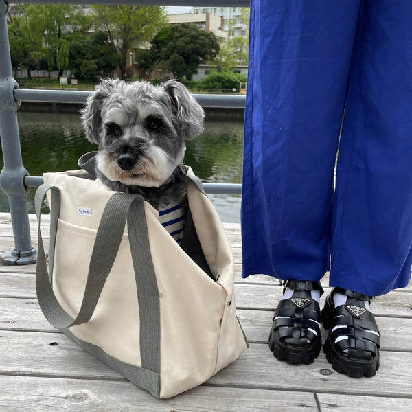 トートキャリーバッグ（キャンバス地)