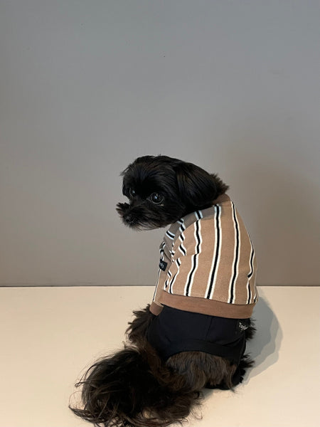 【感謝祭】ストライプロンT