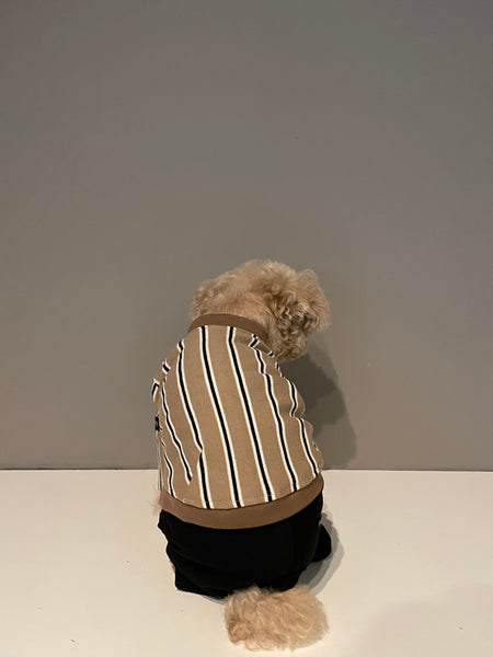 【感謝祭】ストライプロンT