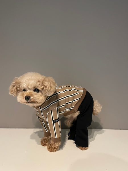 【感謝祭】ストライプロンT