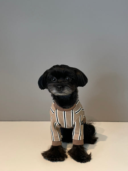 【感謝祭】ストライプロンT