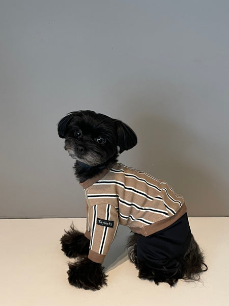 【感謝祭】ストライプロンT