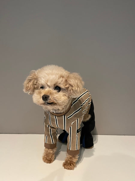 【感謝祭】ストライプロンT